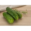 Toraf TORAF VEGETABLES Agurkų Ares F1 sėklos 5g