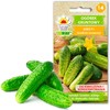 Toraf TORAF VEGETABLES Agurkų Ares F1 sėklos 5g