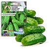 Cucumber Ground Portal PNOS Seeds on Tape, 6m Roll