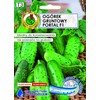 Cucumber Ground Portal PNOS Seeds on Tape, 6m Roll