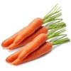 Edible Carrot Lenka PNOS Seeds on Tape, 6m Roll