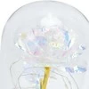 Extralink Pradžia | Amžina rožė stikle | baltas LED