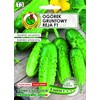 Ground Cucumber Reja F1 PNOS Seeds on Tape, 6m Tape