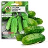 Ground Cucumber Reja F1 PNOS Seeds on Tape, 6m Tape