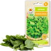 Toraf TORAF VEGETABLES Naujosios Zelandijos špinatų sėklos 5 g