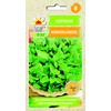Toraf TORAF VEGETABLES Naujosios Zelandijos špinatų sėklos 5 g