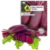 Opole Beetroot PNOS Seeds on Tape, 6m Roll