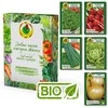PNOS SEED SET - HOME GARDEN VEGETABLES SET 7 V2