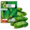 Pnos Sremski F1 Ground Cucumber Seeds on Tape, 6m Roll