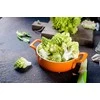 Toraf žiedinių kopūstų sėklos Romanesco Natalino 1g