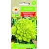 Toraf žiedinių kopūstų sėklos Romanesco Natalino 1g