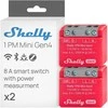 2 „Shelly 1PM Mini Gen4“ „Zigbee“ / „Matter“ valdiklių rinkinys