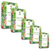 Toraf TORAF Rinkinys NASION - SET 1X5 2024 TORAF 60X1SZT