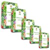 Toraf TORAF Rinkinys NASION - SET 5X5 2024 TORAF 60X1SZT