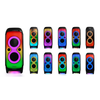 Nešiojama kolonėlė Blaupunkt Party Box PB100X