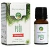 Eterinis pušų aliejus MĖTA, 10 ml