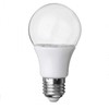 Visional LEMPA LED E27 12W AUGALAMS