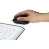 MANHATTAN MM1 mini pelė, retractable cable, USB, Five Mygtukai su ratuku, 800 dpi, 176835