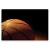 MANHATTAN Notebook Computer Skin up 17",Color: Basketball, 475822