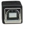 MANHATTAN USB adapter B Female / Micro-B Male, Juodas, 308694