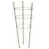 Bradas ŽIEDAS ATRAMAS AUGALMS 60cm