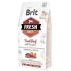 Brit Fresh Dog Jautiena su moliūgas Puppy Large 12kg