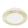 Lubinis šviestuvas Šviestuvas plafonas Eglo CARPI, 10.8 W, LED, 900369