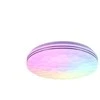 Lubinis šviestuvas Trio Šviestuvas Reality TIGER, plafonas, LED, R67131100 RGB, 22W