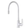 Virtuvinis maišytuvas Invena Joga Plus BZ-32-P02-C, baltas