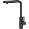 Virtuvinis maišytuvas Invena Preto BZ-48-W04-L, juodas