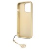 Dėklas Cg Mobile France GUHCP13LGF4GBR Guess 4G Charms Zadní Kryt pro iPhone 13 Pro Brown (ruda)