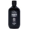 Hairotic Men Hairotic Šampūnas Sulphate Free Plaukų šampūnas, 500ml