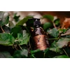 Hrde Horde Beard Šampūnas Smoky Amber Barzdos Šampūnas, 250 ml