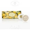 SAF FIORENTINO apvalių muilų su įspaudu rinkinys Citrina, 3x100 g