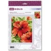 Hibiscus siuvinėjimo rinkinys iš RIOLIS Nr.: 1967