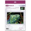 Riolis Siuvinėjimo kryželiu rinkinys "Iguana" 30x21 SR2192