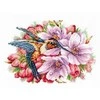 Andriana Beldizart Kolibris ir gėlės SANK-44