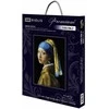 Girl with a Pearl Earring after J. Vermeer's Painting. Siuvinėjimo rinkinys iš RIOLIS Nr.: 100/063
