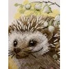 Riolis Kryželiu siuvinėjimo rinkinys Forest Dweller 15x18 SR2093