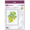 Riolis Citrinų 30x40 SR2054