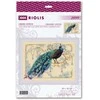 Riolis Kryželio siūlų rinkinys Rytų pasaka 40x30 SR2099
