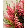 Riolis Scottish Heather SR1324