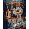 Tapyba pagal skaičius Daisy lietuje 40x50 cm