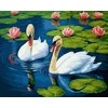 Tapyba pagal skaičius Grakščios gulbės 40x50 cm