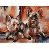 Tapyba pagal skaičius Jorkšyro šunys 30x40 cm