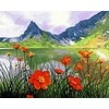 Tapyba pagal skaičius Kalnų aguonos 40x50 cm
