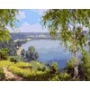 Tapyba pagal skaičius Lake View 40x50 cm