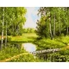 Tapyba pagal skaičius Miško atspindys 40x50 cm