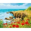 Tapyba pagal skaičius Pakrantės aguonos 40x50 cm