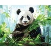 Tapyba pagal skaičius Panda valgo bambuką 40x50 cm